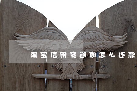 淘宝信用贷逾期怎么还款 淘宝信用贷逾期怎么还款