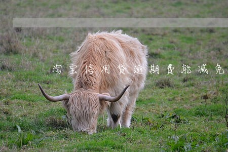 淘宝信用贷逾期费能减免吗