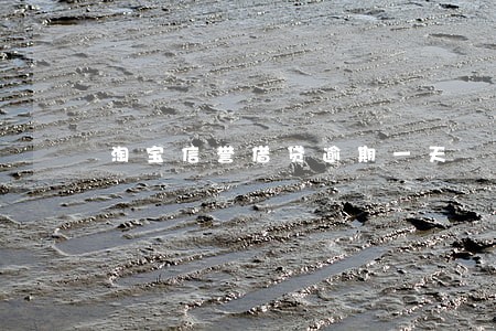 淘宝信誉借贷逾期一天