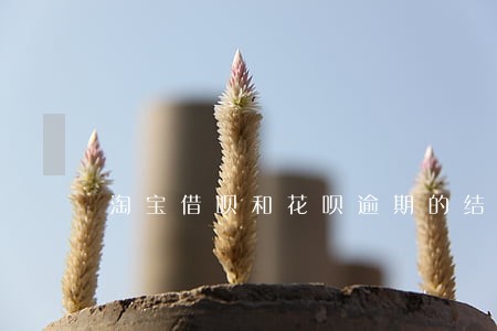 淘宝借呗和花呗逾期的结果 淘宝借呗和花呗逾期的结果