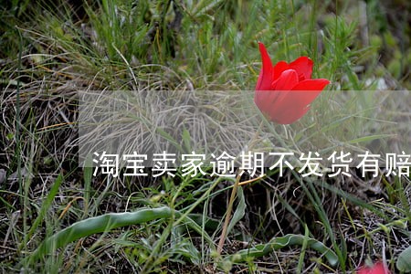 淘宝卖家逾期不发货有赔款么 淘宝卖家逾期不发货有赔款么