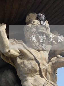 淘宝卖家逾期处理款退了没收到货 淘宝卖家逾期处理款退了没收到货