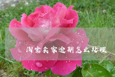 淘宝卖家逾期怎么处理 淘宝卖家逾期怎么处理