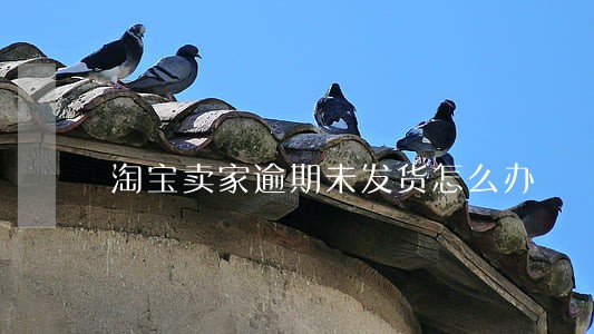 淘宝卖家逾期未发货怎么办 淘宝卖家逾期未发货怎么办