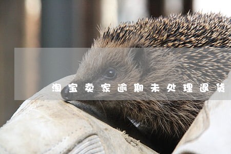 淘宝卖家逾期未处理退货退款 淘宝卖家逾期未处理退货退款