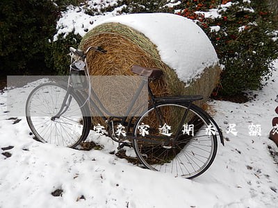 淘宝卖家逾期未足额交纳保证金