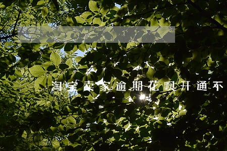 淘宝卖家逾期花呗开通不了 淘宝卖家逾期花呗开通不了