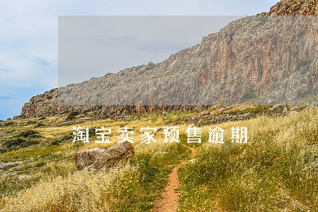 淘宝卖家预售逾期 淘宝卖家预售逾期