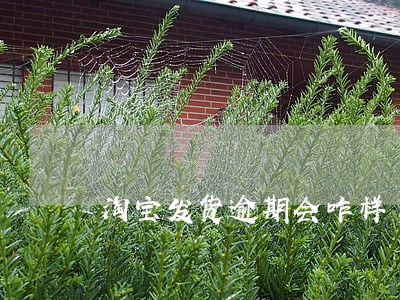 淘宝发货逾期会咋样 淘宝发货逾期会咋样