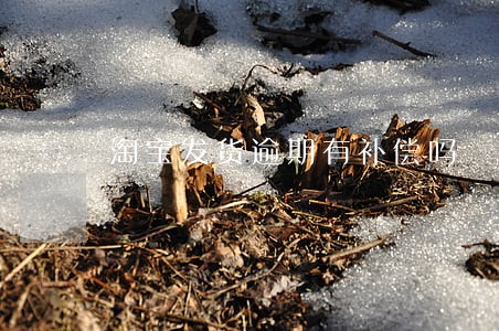淘宝发货逾期有补偿吗 淘宝发货逾期有补偿吗