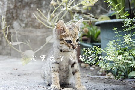 淘宝发货逾期能怎么样 淘宝发货逾期能怎么样