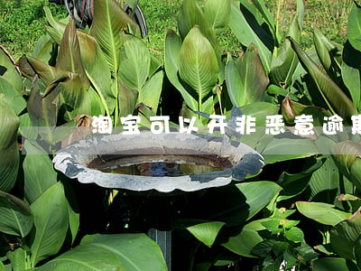 淘宝可以开非恶意逾期证明 淘宝可以开非恶意逾期证明