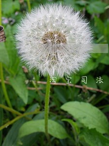 淘宝司法拍卖付款期