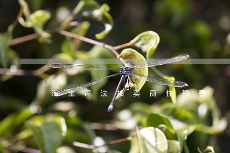 淘宝司法拍卖商住税费 淘宝司法拍卖商住税费