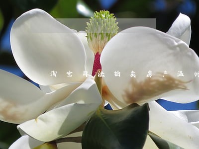 淘宝司法拍卖房产温州