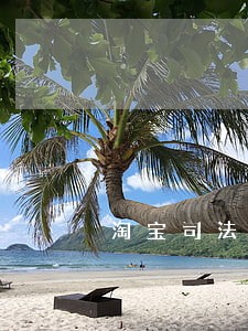 淘宝司法拍卖法院卖货 淘宝司法拍卖法院卖货