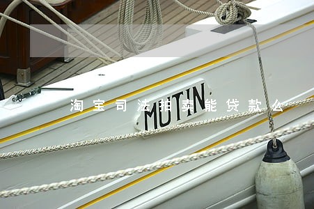 淘宝司法拍卖能贷款么