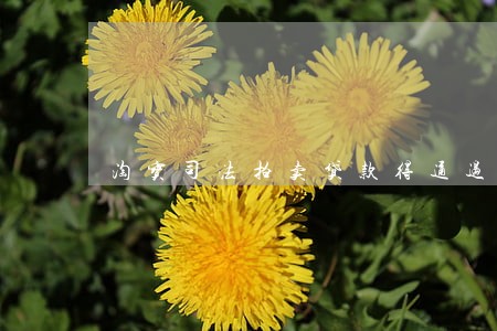 淘宝司法拍卖贷款得通过率 淘宝司法拍卖贷款得通过率