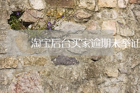 淘宝后台买家逾期未举证什么意思 淘宝后台买家逾期未举证什么意思