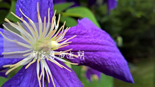 淘宝售后逾期 淘宝售后逾期