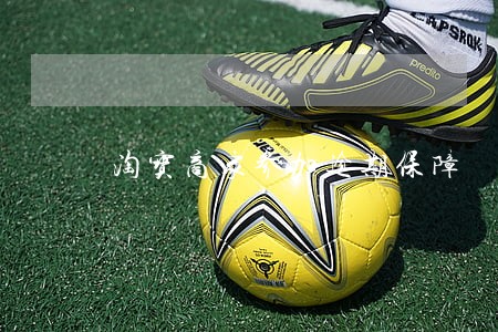 淘宝商家参加逾期保障 淘宝商家参加逾期保障