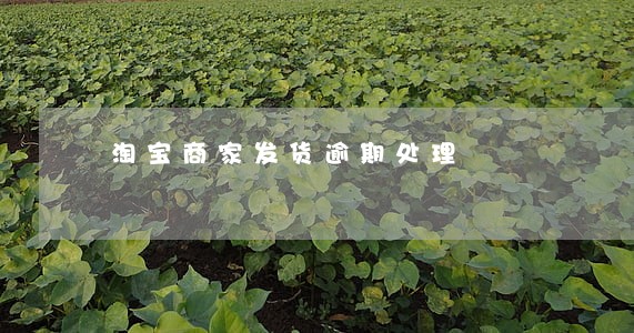 淘宝商家发货逾期处理 淘宝商家发货逾期处理