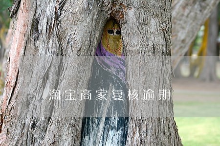 淘宝商家复核逾期 淘宝商家复核逾期