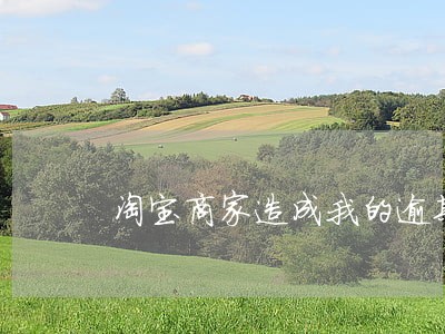 淘宝商家造成我的逾期违约 淘宝商家造成我的逾期违约