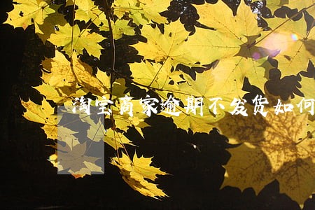 淘宝商家逾期不发货如何投诉 淘宝商家逾期不发货如何投诉