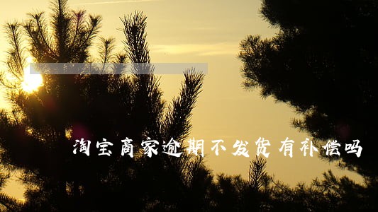 淘宝商家逾期不发货有补偿吗 淘宝商家逾期不发货有补偿吗