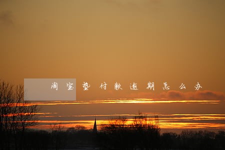 淘宝垫付款逾期怎么办 淘宝垫付款逾期怎么办
