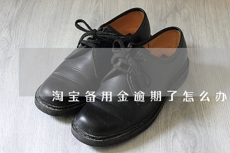淘宝备用金逾期了怎么办 淘宝备用金逾期了怎么办