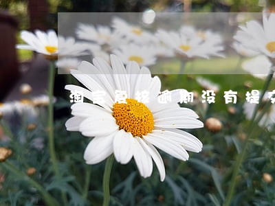 淘宝复核逾期没有提交 淘宝复核逾期没有提交