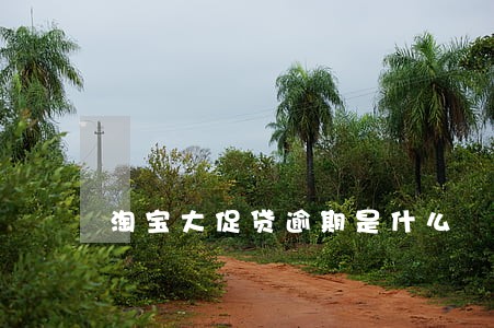 淘宝大促贷逾期是什么 淘宝大促贷逾期是什么