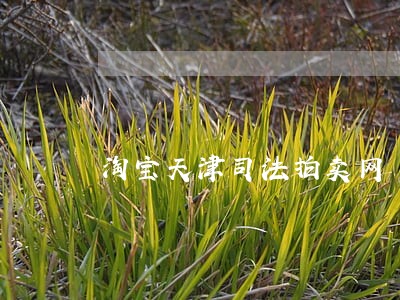 淘宝天津司法拍卖网 淘宝天津司法拍卖网