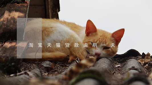 淘宝天猫贷款逾期一天