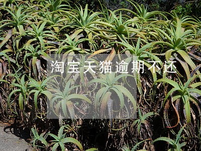 淘宝天猫逾期不还 淘宝天猫逾期不还
