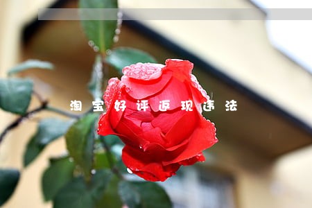 淘宝好评返现违法 淘宝好评返现违法