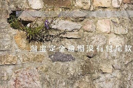 淘宝定金逾期没有付尾款 淘宝定金逾期没有付尾款