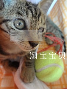 淘宝宝贝逾期下架怎么处理 淘宝宝贝逾期下架怎么处理