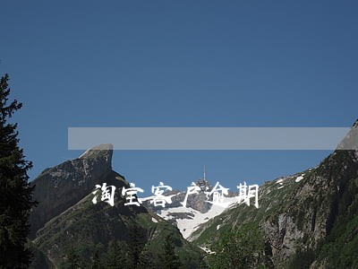 淘宝客户逾期
