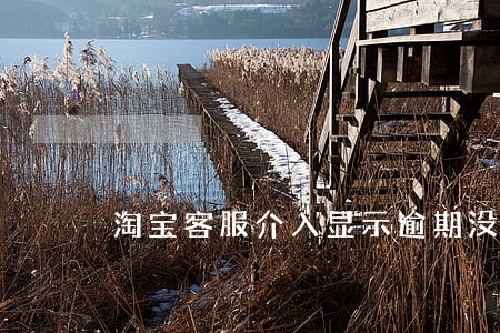 淘宝客服介入显示逾期没上传凭证 淘宝客服介入显示逾期没上传凭证