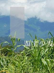 淘宝少发货逾期申请退款 淘宝少发货逾期申请退款
