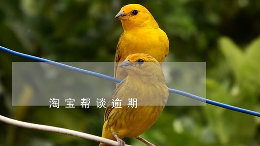 淘宝帮谈逾期 淘宝帮谈逾期