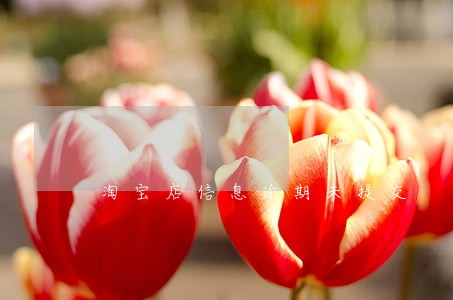 淘宝店信息逾期未提交 淘宝店信息逾期未提交