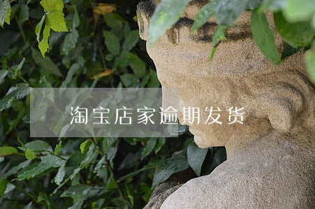淘宝店家逾期发货 淘宝店家逾期发货