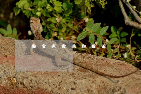淘宝店家逾期投诉 淘宝店家逾期投诉