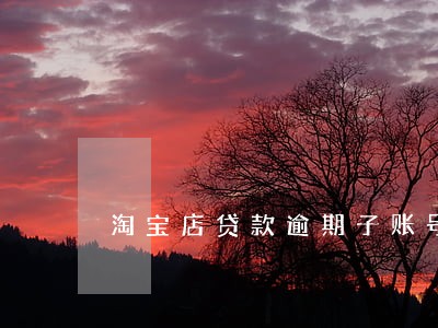 淘宝店贷款逾期子账号 淘宝店贷款逾期子账号