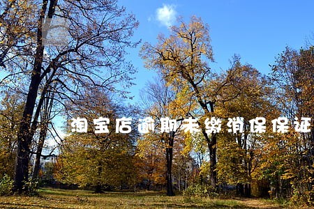 淘宝店逾期未缴消保保证金 淘宝店逾期未缴消保保证金