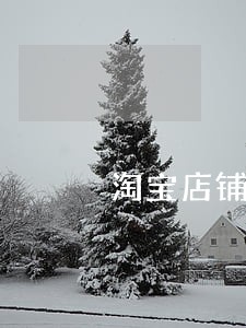淘宝店铺众安保险逾期五年 淘宝店铺众安保险逾期五年